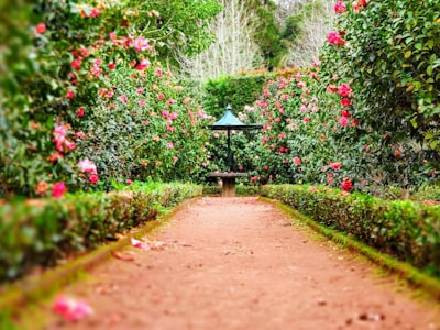 Takeout Containers 50pcs